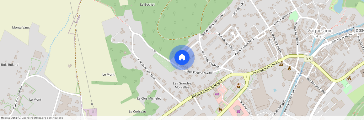 13 RUE DU GRAND RULUT, Charleville Mezieres