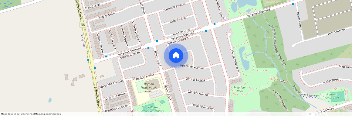 81 Serano Crescent, Richmond Hill