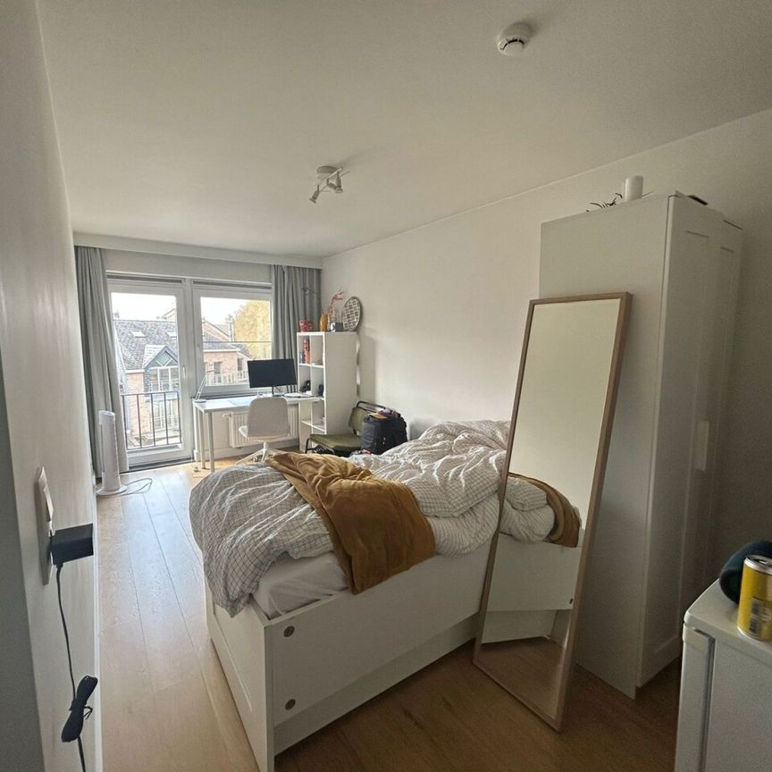 Kamer eigen sanitair en terras - Central Park - Photo 1