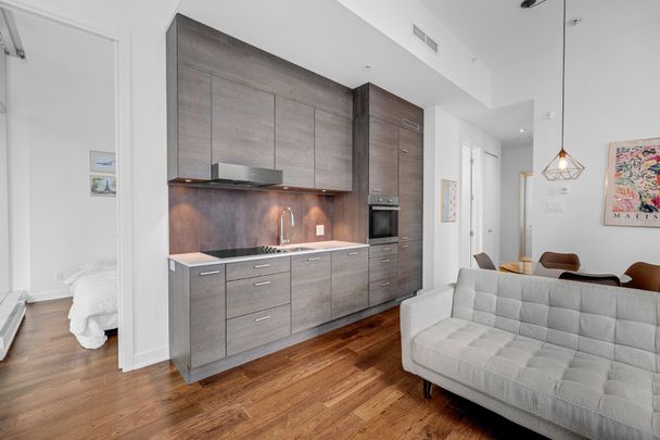 Appartement à louer à Montréal (Ville-Marie) - Photo 1