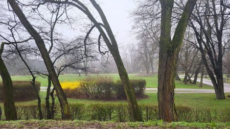 Wynajmę 3pok apart, Grodzisk Maz, Park, Mediateka - Zdjęcie 3