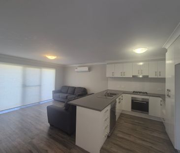 Beautiful Basil - Photo 1