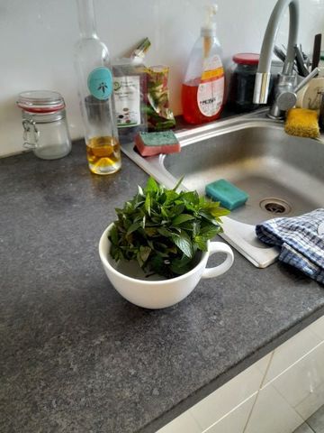 Pokój, ul. Głogowska - Zdjęcie 2