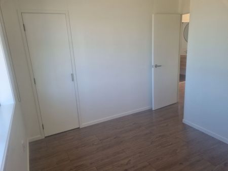 74 Citrus Ave, Waihi Beach - Photo 5