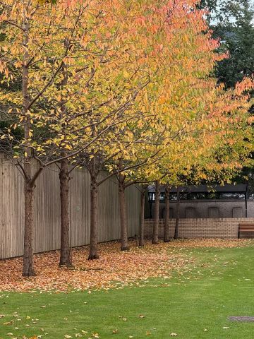 Room in a Shared Flat, Beaverbank Place, EH7 - Photo 2