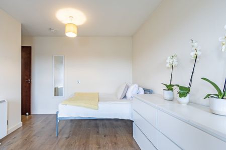 Studio Flat, Honeysuckle Drive, L9 - Photo 3