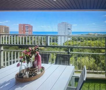 Avenida de la Gola del Puchol, Valencia, Valencian Community 46012 - Foto 5