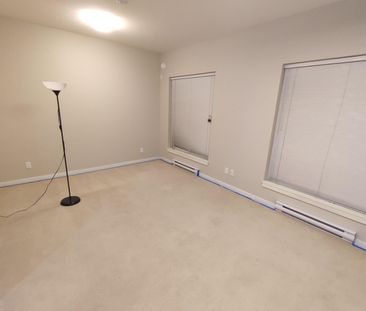 One Bedroom, One Full Bathroom in Quattro - Photo 5