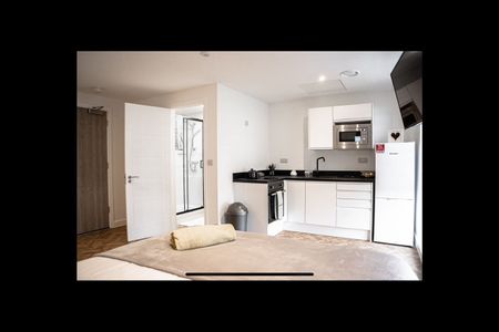 Room in a Shared Flat, Bridge Street West, B19 - Photo 4