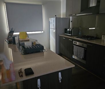 Williams Landing - Photo 3