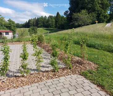 Landliebe..., da wo der Fuchs dem Hasen noch liebevoll sagt: "Schla... - Photo 4