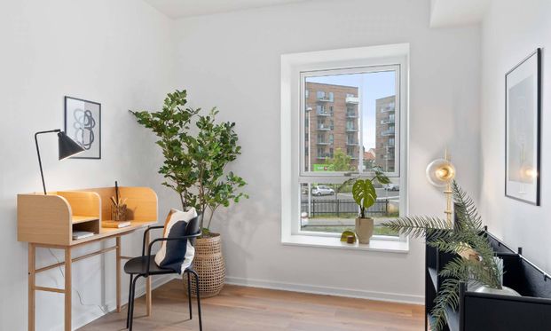 Buchwalds Bro 3, 3. th. - Foto 1