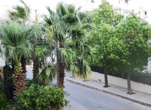 Διαμέρισμα για ενοικίαση - Παιανία, - Photo 2