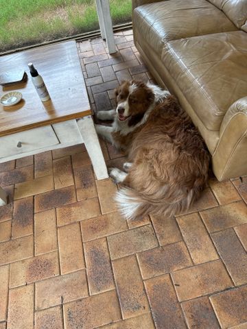 Helensvale - Photo 3