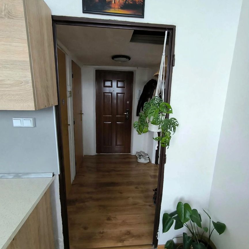 Zariadený 2 izbový byt v Rohožníku na prenájom. - Photo 1