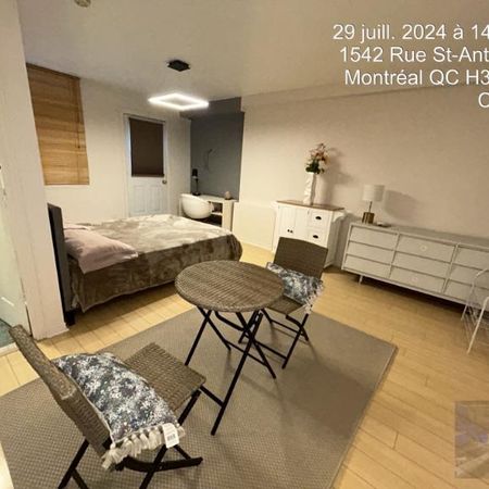 1 1/2 - Montréal (Griffintown) - 1 100 $/mois - Photo 3