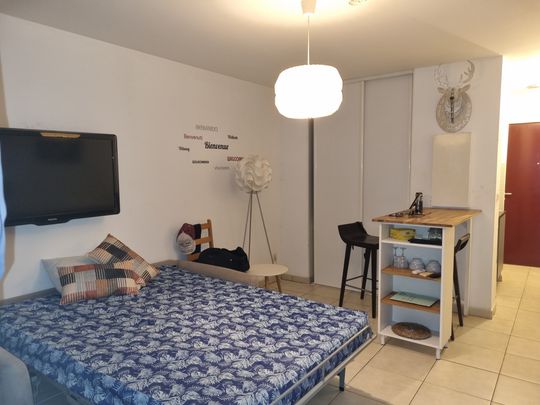 Location Appartement 1 pièce 24m² ST DENIS 97400 - Photo 1
