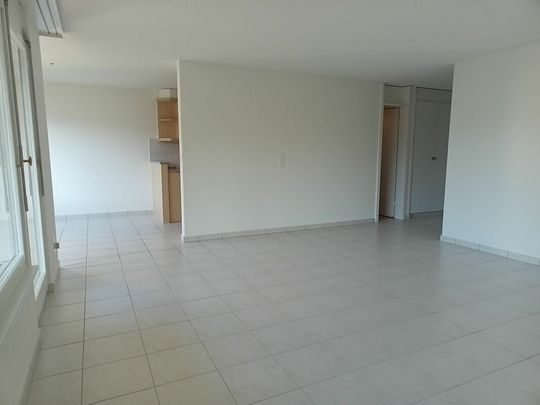 Grosse, sonnige Wohnung mit Aussicht - Photo 1