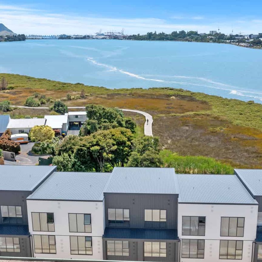 Magical Montgomery - Photo 1