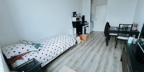 Location Appartement 1 pièce 20m² TOURS 37000 - Photo 3