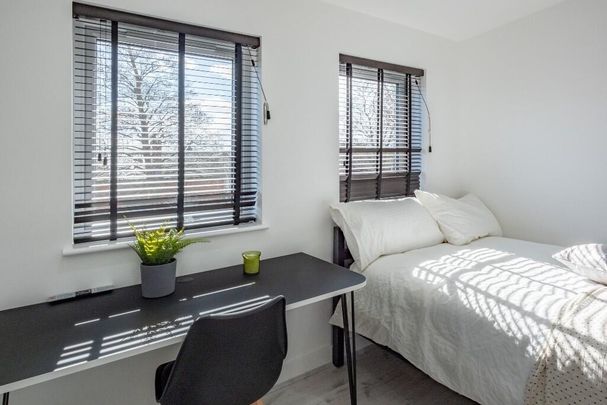 6 bedroom house to rent - Photo 1