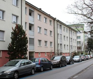 Komfortabel wohnen in gepflegtem Mehrfamilienhaus - Foto 4