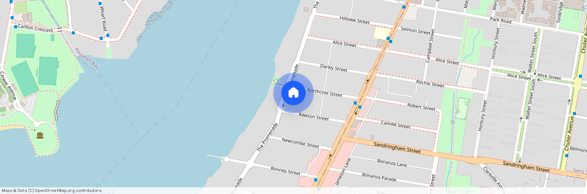 62A The Promenade, NSW 2219, Sans Souci