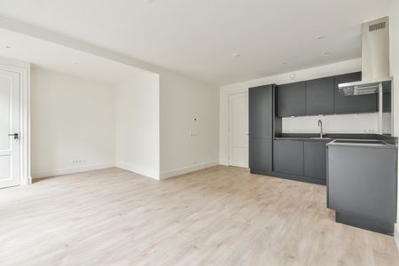 Te huur: Appartement Frans Halsstraat in Amsterdam - Photo 2