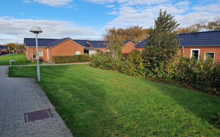 Alkjærparken - Foto 4
