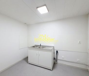 Location Appartement 1 pièce 43m² - Photo 4