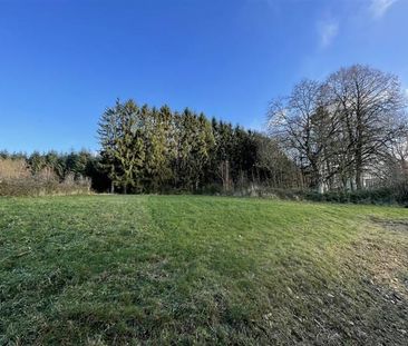 Huis te huur - Foto 6