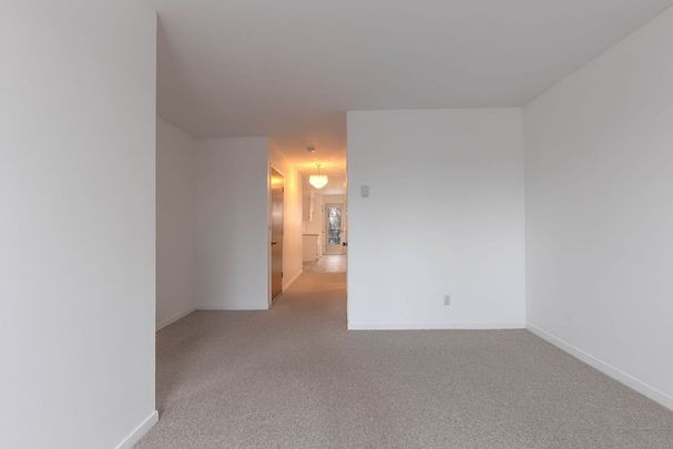 7841 Rue Simonne - Photo 1