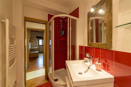 Large room in Via Ponte Alle Mosse - Photo 4