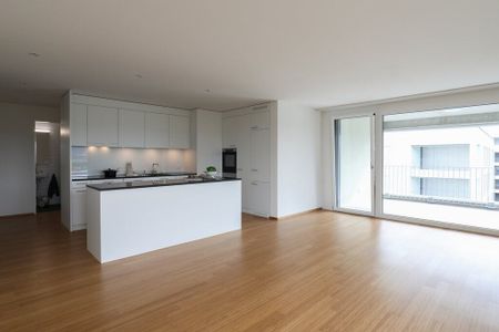 modern and spacious apartment in the Spitzallmend - Foto 2