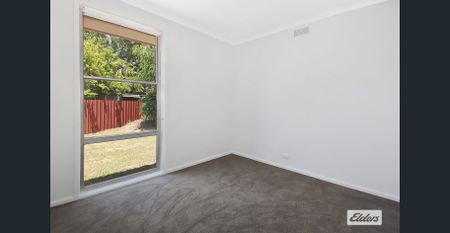 Fully Renovated 3-Bedroom Home with Spacious Yard - Photo 3