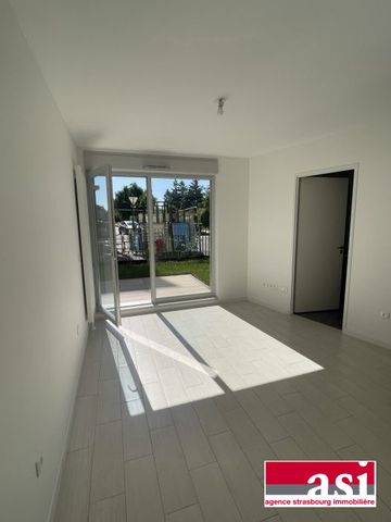 Schiltigheim, 1 pièce avec jardin - Photo 4