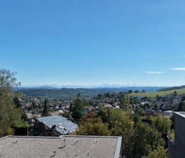 Einzigartige Attikawohnung mit grosszügiger Terrasse und traumhafte... - Foto 6
