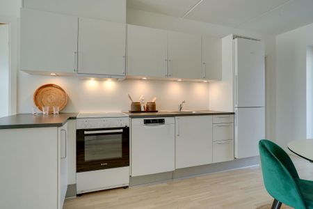 Moderne lejebolig i Odense M med fælles tagterrasse - perfekt til den studerende/delebolig - Photo 5