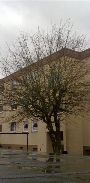 *schö­ne 4,5‑Zimmer Woh­nung in Ravens­burg mit Küche, Kel­ler u. Stell­platz zu vermieten!* - Photo 2