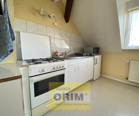 Location Appartement 2 pièces 57m² ST LOUIS 68300 - Photo 4