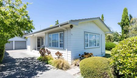 Terrific in Taradale! - Photo 5