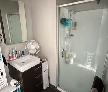 Takapuna Shoalhaven Living - fully furnished. - Photo 3