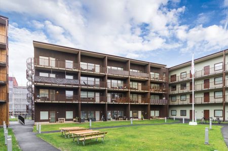 Grundläggaregatan, Norrköping - Photo 4