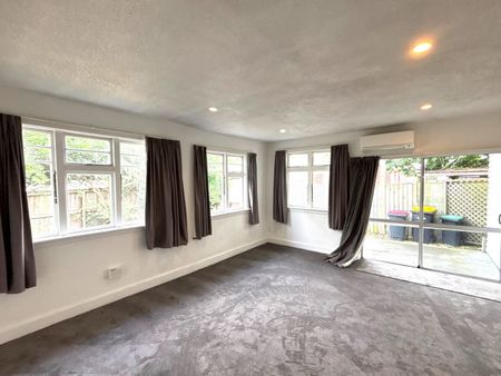 113c Ruskin Street, Addington, NZ 8041 - Photo 5