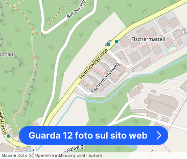 4.5 Zimmer, 87 m², 2. Stock - Foto 1