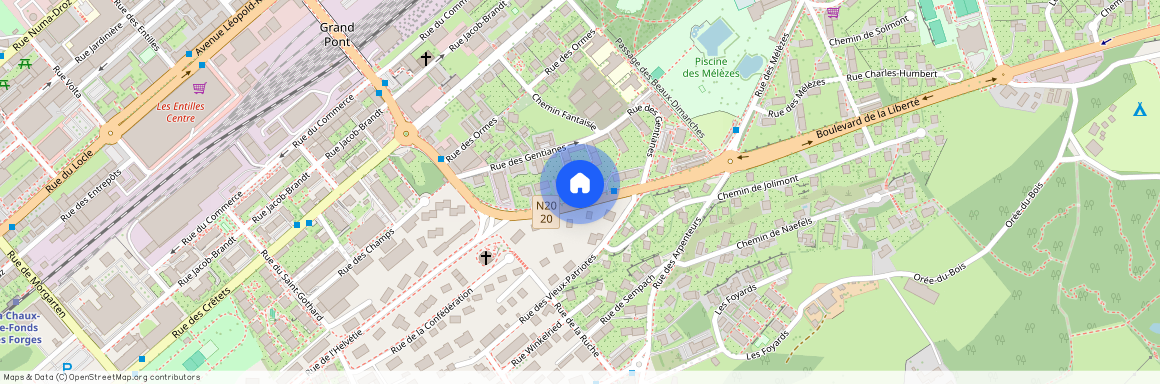 2300, La Chaux-de-Fonds, Boulevard de la Liberté, 14