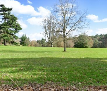 Enton Lane, Enton, Godalming, Surrey, GU8 - Photo 5
