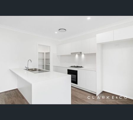 19 Anston Street, Farley, NSW 2320 - Photo 5