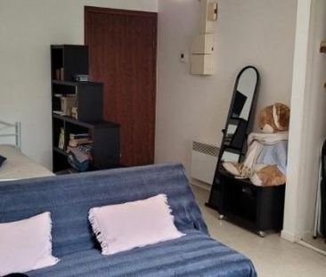 Appartement à louer, 1 pièce - Angers 49100 - Photo 3