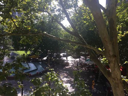 Potts Point - Photo 5